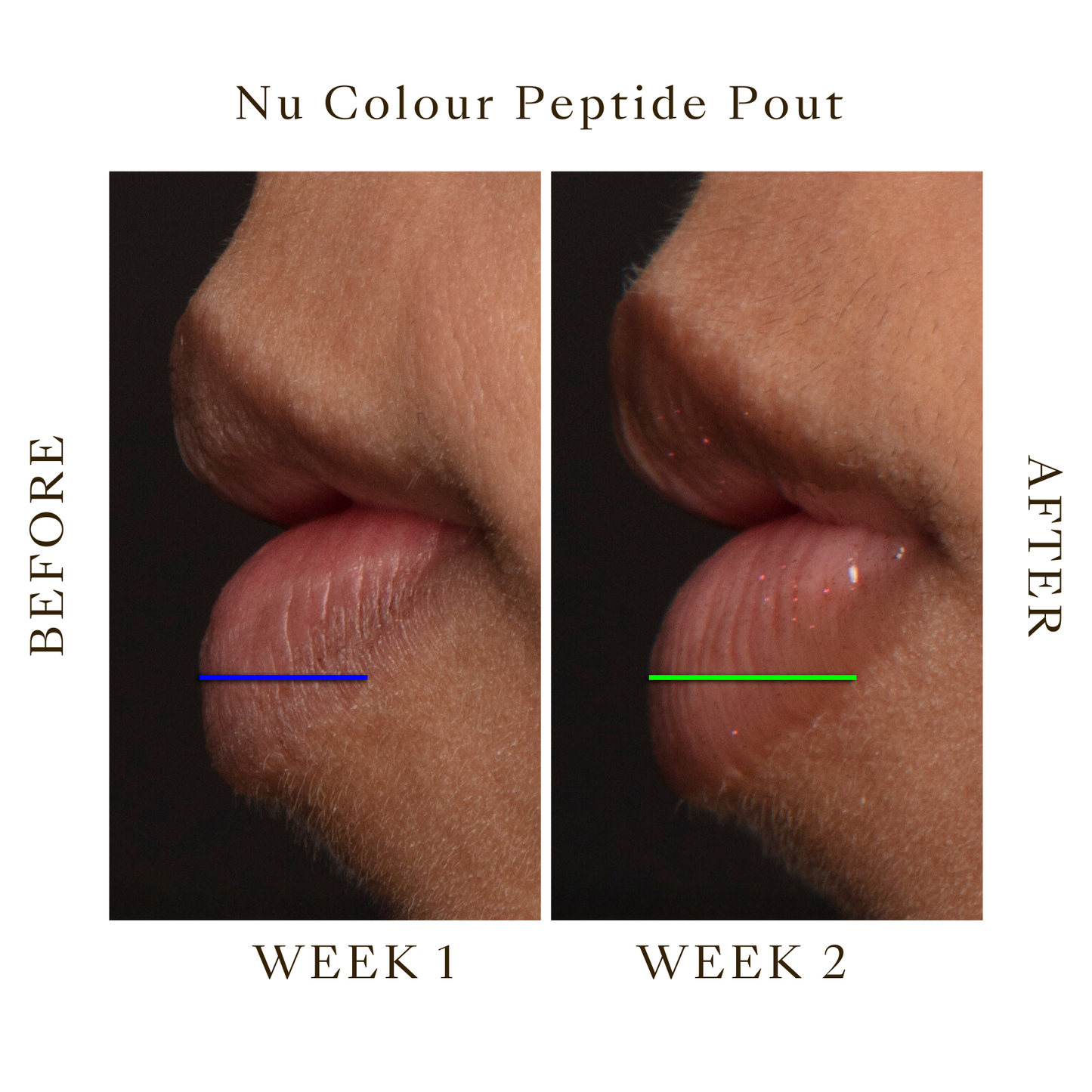 NU COLOUR®PEPTIDE POUT