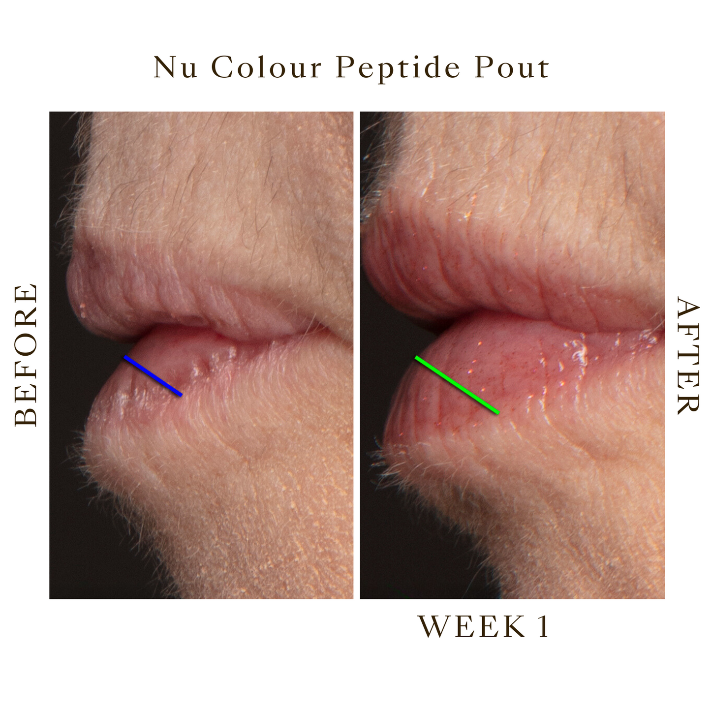 NU COLOUR®PEPTIDE POUT